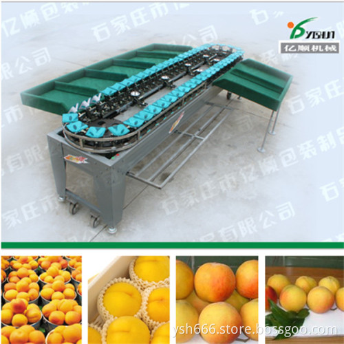 Yeollow peach sorting machine YSXS-38-7-50